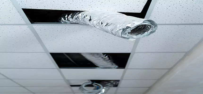 Our Air Duct Pet Hair Removal Services in Lawndale, CA