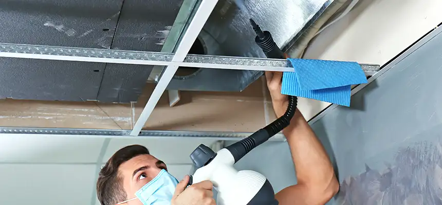 Our Air Duct Rodent Removal Services in Lawndale, CA