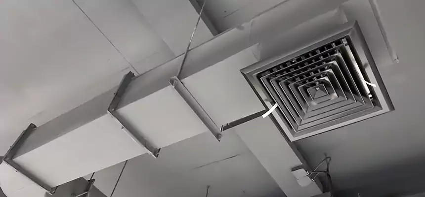 Our Pest Removal From Ducts Services in Lawndale, CA