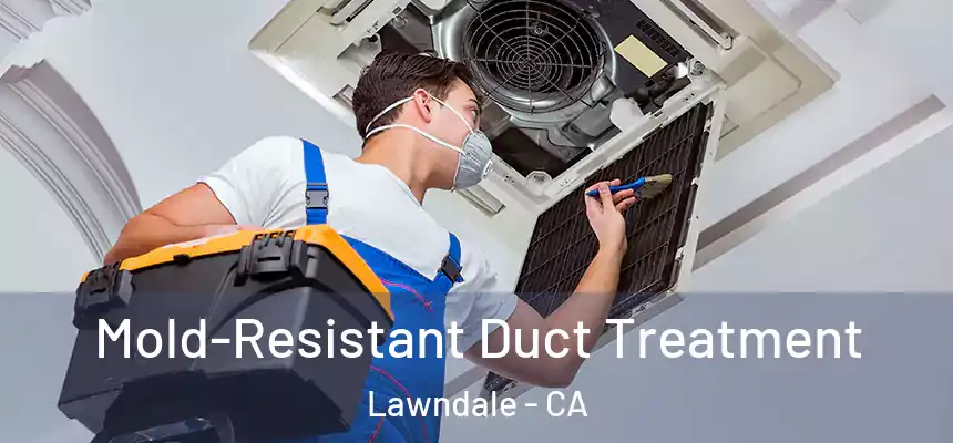  Mold-Resistant Duct Treatment Lawndale - CA