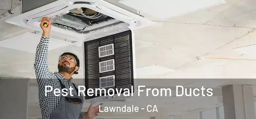  Pest Removal From Ducts Lawndale - CA