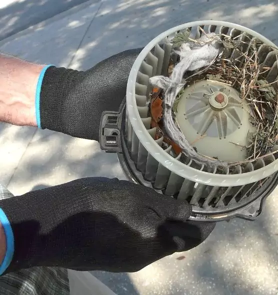 About Air Duct Mice Removal in Lawndale, CA