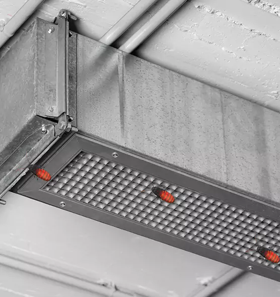 Affordable Insect Removal from Air Ducts in Lawndale, CA