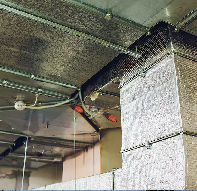 Why Homeowners & Businesses Trust Us Lawndale, CA?